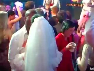 Superb excitat brides suge mare cocoșilor în public